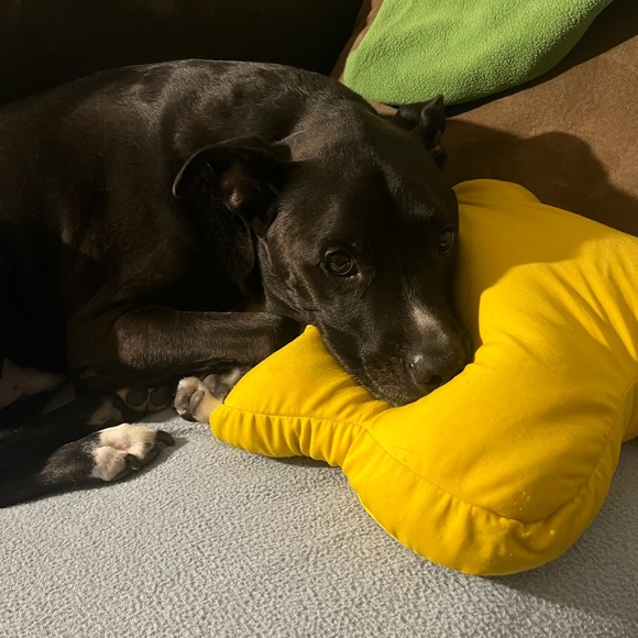 Meet the Posher, Julia - Picture 3 of 6